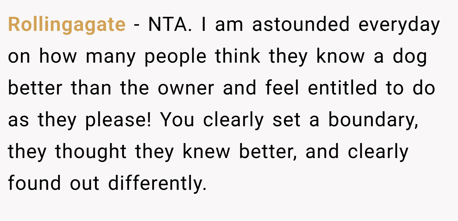 Rollingagate − NTA. I am astounded everyday on how many people think they know a dog better than the owner and feel entitled to do as they please! You clearly set a boundary, they thought they knew better, and clearly found out differently.