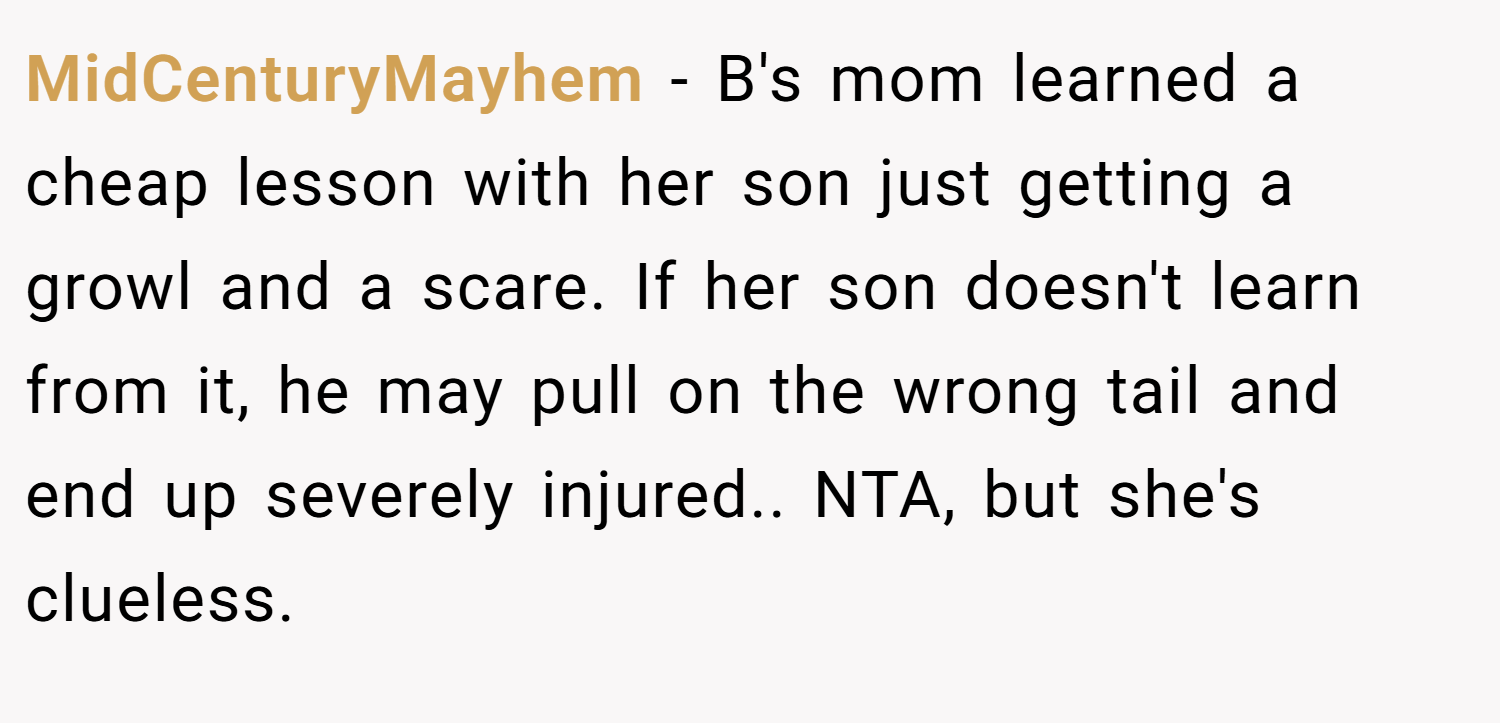 MidCenturyMayhem − B's mom learned a cheap lesson with her son just getting a growl and a scare. If her son doesn't learn from it, he may pull on the wrong tail and end up severely injured.. NTA, but she's clueless.