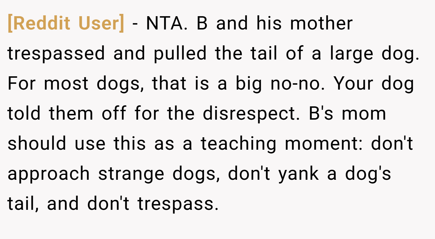 [Reddit User] − NTA. B and his mother trespassed and pulled the tail of a large dog. For most dogs, that is a big no-no. Your dog told them off for the disrespect. B's mom should use this as a teaching moment: don't approach strange dogs, don't yank a dog's tail, and don't trespass.