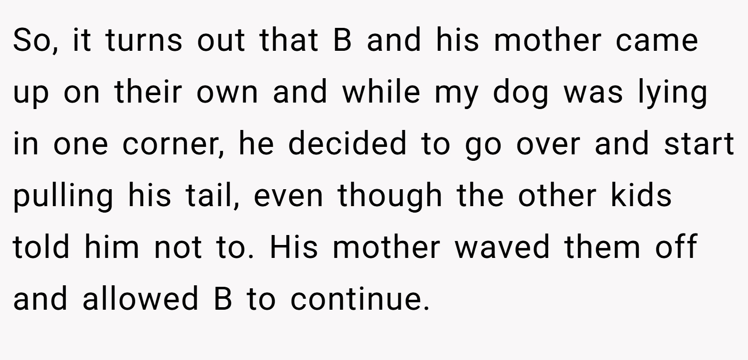 So, it turns out that B and his mother came up on their own and while my dog was lying in one corner, he decided to go over and start pulling his tail, even though the other kids told him not to. His mother waved them off and allowed B to continue.