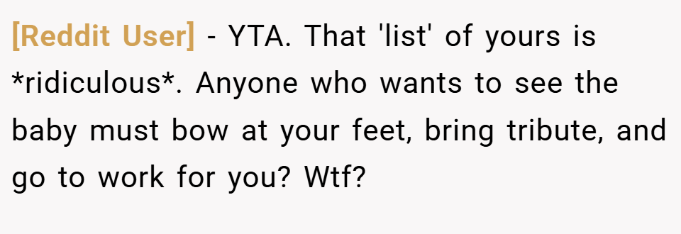 [Reddit User] − YTA. That 'list' of yours is *ridiculous*. Anyone who wants to see the baby must bow at your feet, bring tribute, and go to work for you? Wtf?