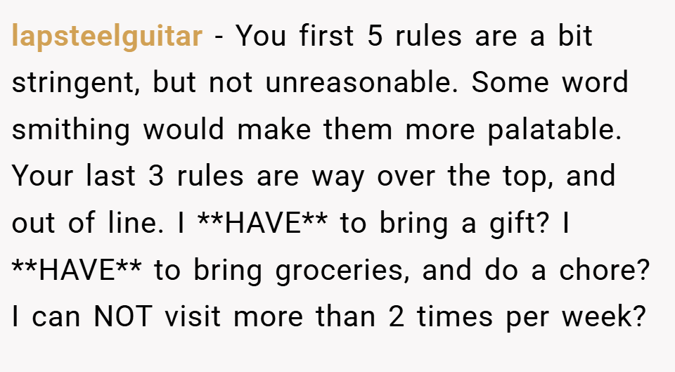 lapsteelguitar − You first 5 rules are a bit stringent, but not unreasonable. Some word smithing would make them more palatable. Your last 3 rules are way over the top, and out of line. I **HAVE** to bring a gift? I **HAVE** to bring groceries, and do a chore? I can NOT visit more than 2 times per week?
