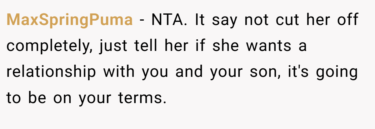 MaxSpringPuma − NTA. It say not cut her off completely, just tell her if she wants a relationship with you and your son, it's going to be on your terms.