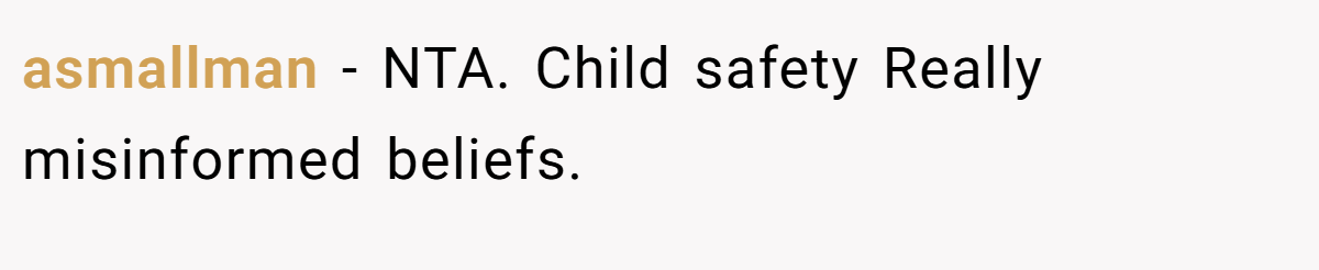 asmallman - NTA. Child safety Really misinformed beliefs.