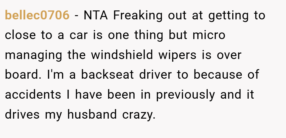 bellec0706 − NTA Freaking out at getting to close to a car is one thing but micro managing the windshield wipers is over board. I'm a backseat driver to because of accidents I have been in previously and it drives my husband crazy.