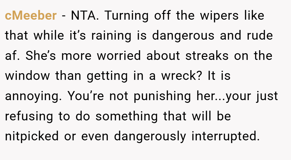 cMeeber − NTA. Turning off the wipers like that while it’s raining is dangerous and rude af. She’s more worried about streaks on the window than getting in a wreck? It is annoying. You’re not punishing her...your just refusing to do something that will be nitpicked or even dangerously interrupted.