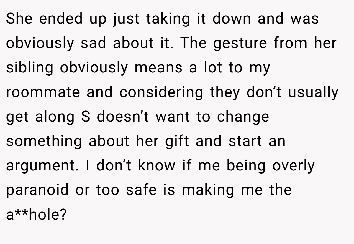 She ended up just taking it down and was obviously sad about it. The gesture from her sibling obviously means a lot to my roommate and considering they don’t usually get along S doesn’t want to change something about her gift and start an argument. I don’t know if me being overly paranoid or too safe is making me the a**hole?