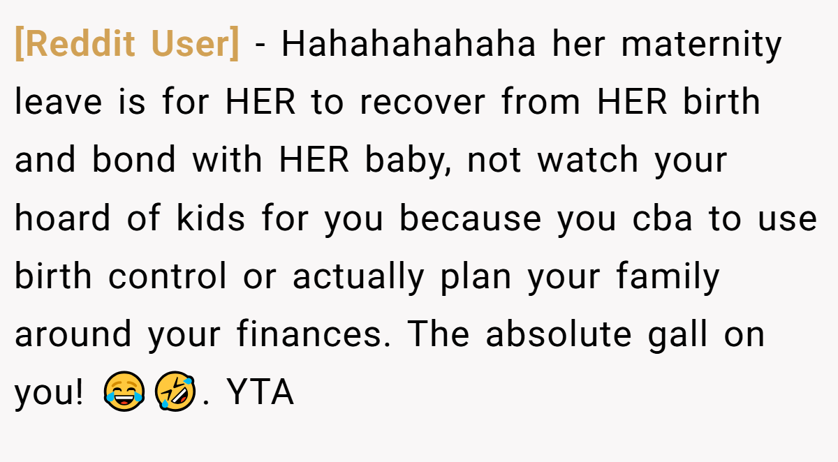 [Reddit User] − Hahahahahaha her maternity leave is for HER to recover from HER birth and bond with HER baby, not watch your hoard of kids for you because you cba to use birth control or actually plan your family around your finances. The absolute gall on you! 😂🤣. YTA
