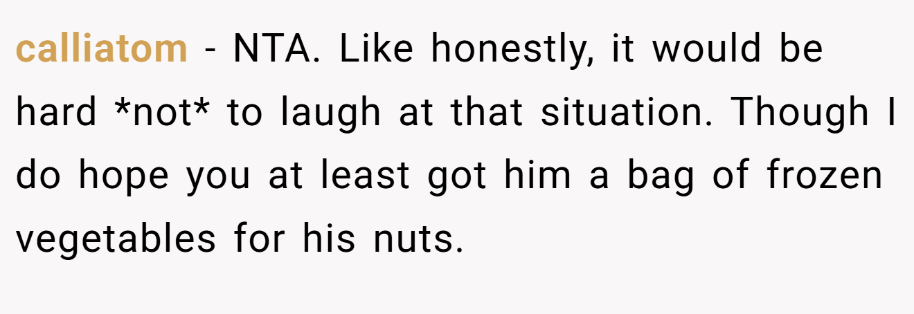 calliatom - NTA. Like honestly, it would be hard *not* to laugh at that situation. Though I do hope you at least got him a bag of frozen vegetables for his nuts.