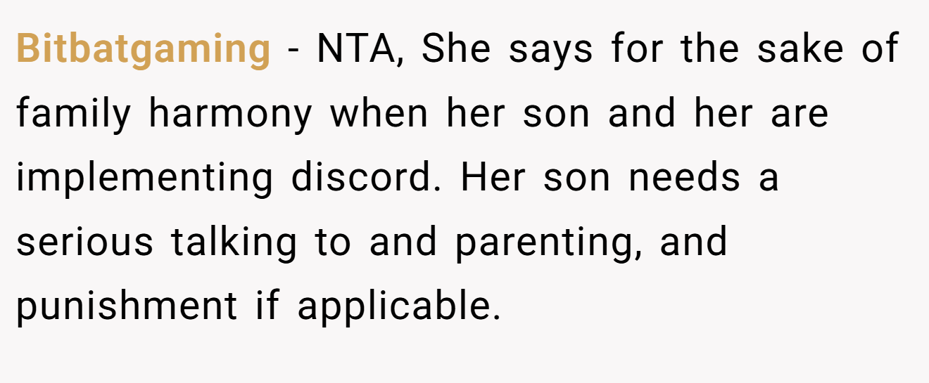 Bitbatgaming - NTA, She says for the sake of family harmony when her son and her are implementing discord. Her son needs a serious talking to and parenting, and punishment if applicable.