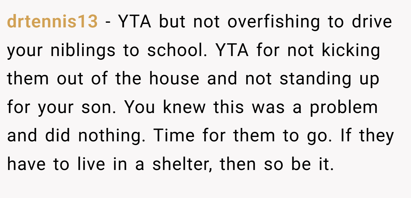 drtennis13 - YTA but not overfishing to drive your niblings to school. YTA for not kicking them out of the house and not standing up for your son. You knew this was a problem and did nothing. Time for them to go. If they have to live in a shelter, then so be it.