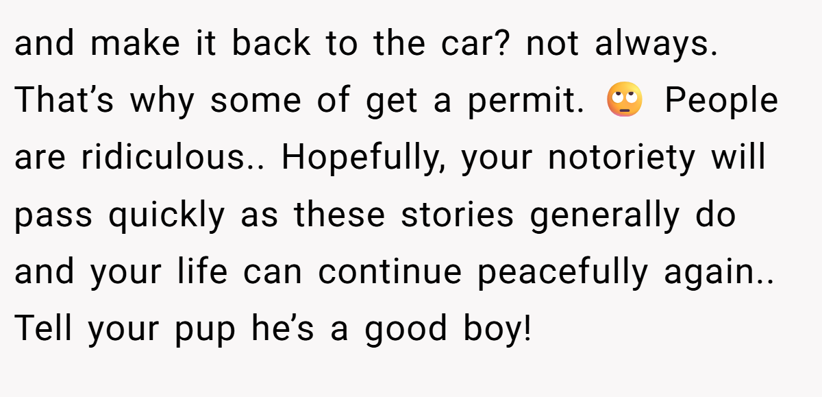 and make it back to the car? not always. That’s why some of get a permit. 🙄 People are ridiculous.. Hopefully, your notoriety will pass quickly as these stories generally do and your life can continue peacefully again.. Tell your pup he’s a good boy!