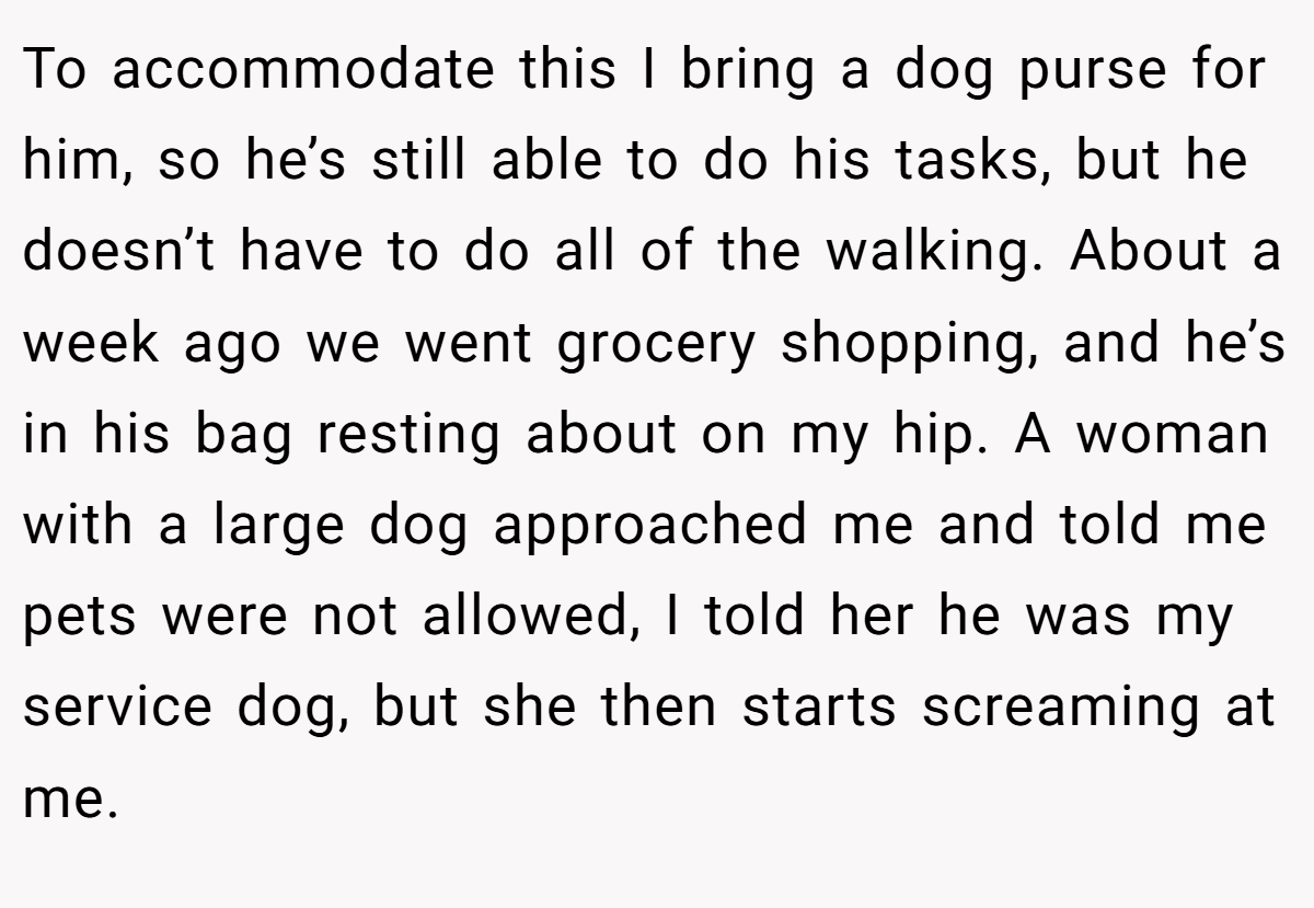 To accommodate this I bring a dog purse for him, so he’s still able to do his tasks, but he doesn’t have to do all of the walking. About a week ago we went grocery shopping, and he’s in his bag resting about on my hip. A woman with a large dog approached me and told me pets were not allowed, I told her he was my service dog, but she then starts screaming at me.