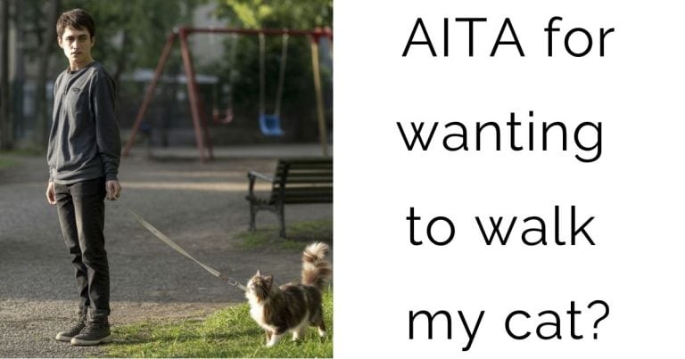AITA for wanting to walk my cat?