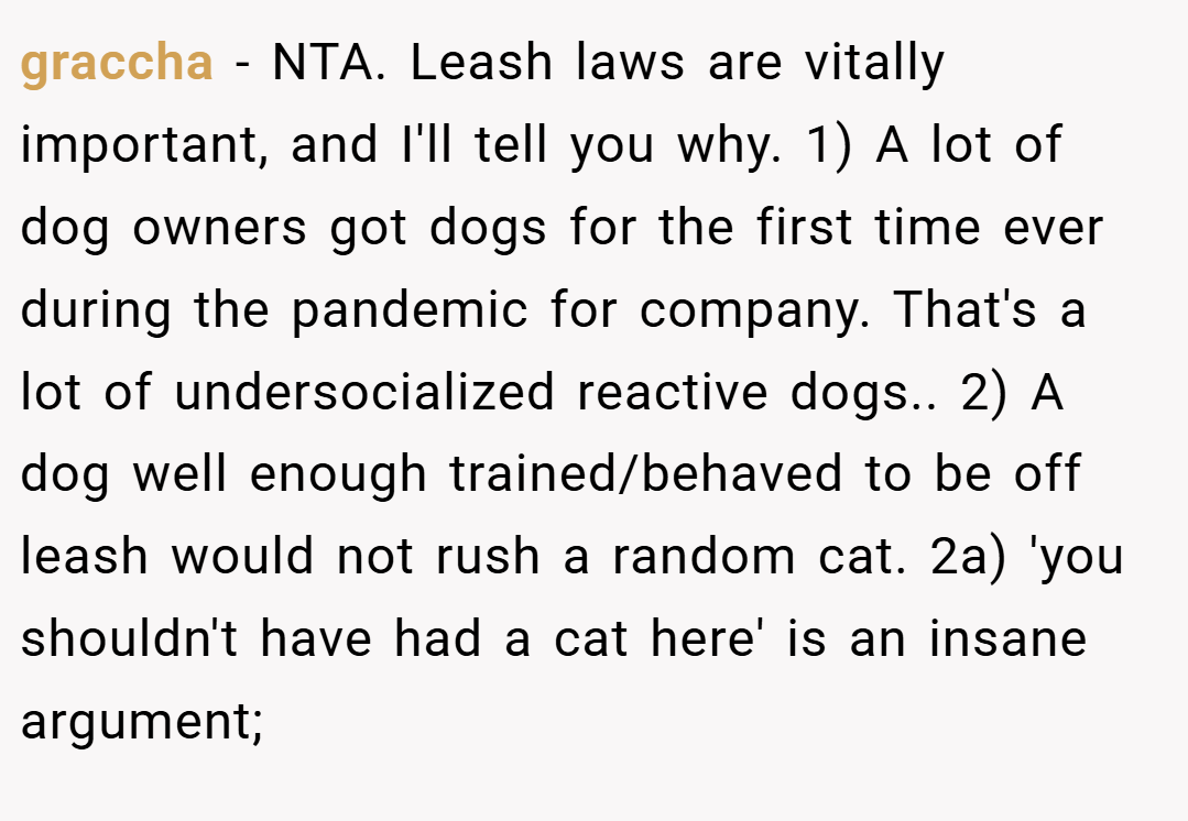 graccha − NTA. Leash laws are vitally important, and I'll tell you why. 1) A lot of dog owners got dogs for the first time ever during the pandemic for company. That's a lot of undersocialized reactive dogs.. 2) A dog well enough trained/behaved to be off leash would not rush a random cat. 2a) 'you shouldn't have had a cat here' is an insane argument;
