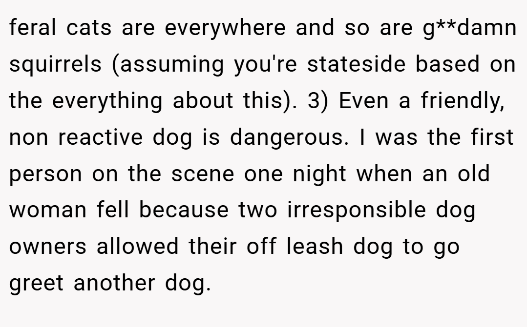 feral cats are everywhere and so are g**damn squirrels (assuming you're stateside based on the everything about this). 3) Even a friendly, non reactive dog is dangerous. I was the first person on the scene one night when an old woman fell because two irresponsible dog owners allowed their off leash dog to go greet another dog.