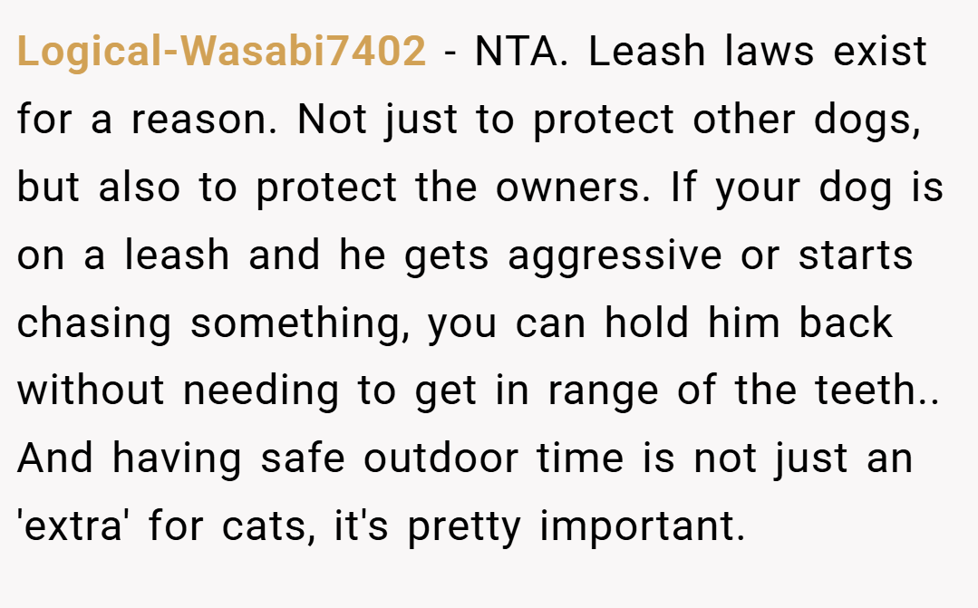 Logical-Wasabi7402 − NTA. Leash laws exist for a reason. Not just to protect other dogs, but also to protect the owners. If your dog is on a leash and he gets aggressive or starts chasing something, you can hold him back without needing to get in range of the teeth.. And having safe outdoor time is not just an 'extra' for cats, it's pretty important.