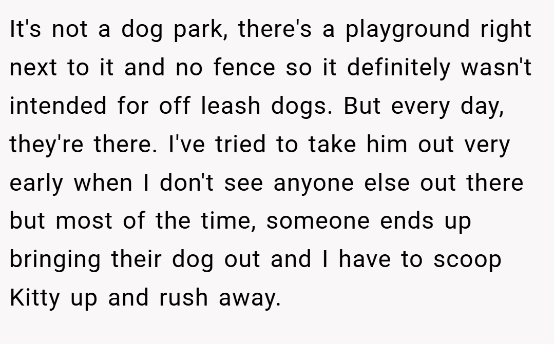 It's not a dog park, there's a playground right next to it and no fence so it definitely wasn't intended for off leash dogs. But every day, they're there. I've tried to take him out very early when I don't see anyone else out there but most of the time, someone ends up bringing their dog out and I have to scoop Kitty up and rush away.