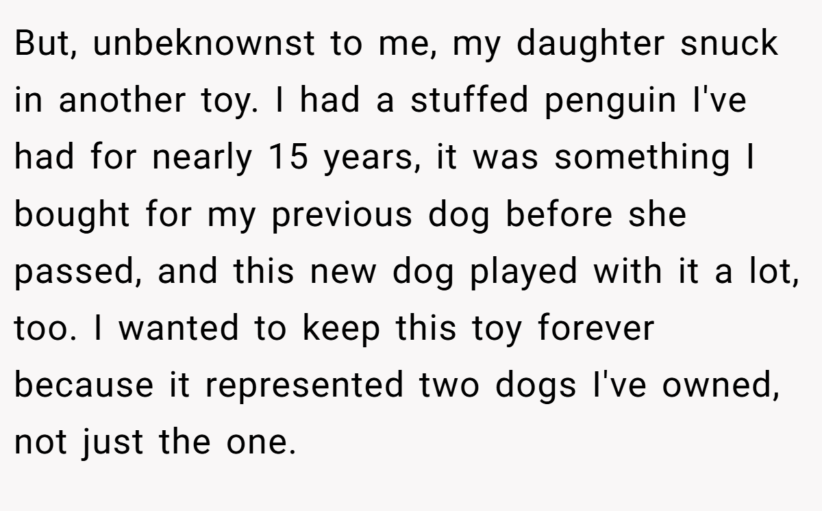 But, unbeknownst to me, my daughter snuck in another toy. I had a stuffed penguin I've had for nearly 15 years, it was something I bought for my previous dog before she passed, and this new dog played with it a lot, too. I wanted to keep this toy forever because it represented two dogs I've owned, not just the one.