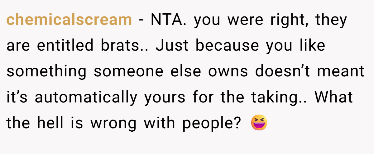 chemicalscream − NTA. you were right, they are entitled brats.. Just because you like something someone else owns doesn’t meant it’s automatically yours for the taking.. What the hell is wrong with people? 😆