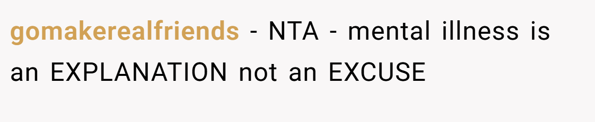 gomakerealfriends − NTA - mental illness is an EXPLANATION not an EXCUSE