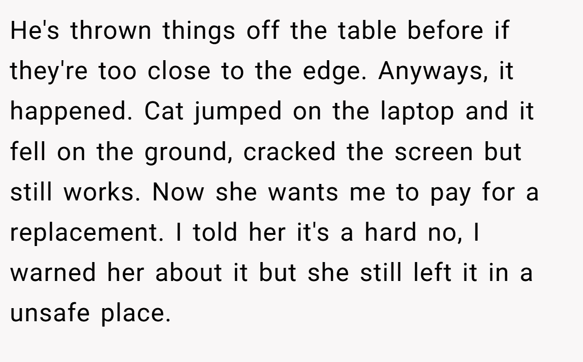 He's thrown things off the table before if they're too close to the edge. Anyways, it happened. Cat jumped on the laptop and it fell on the ground, cracked the screen but still works. Now she wants me to pay for a replacement. I told her it's a hard no, I warned her about it but she still left it in a unsafe place.