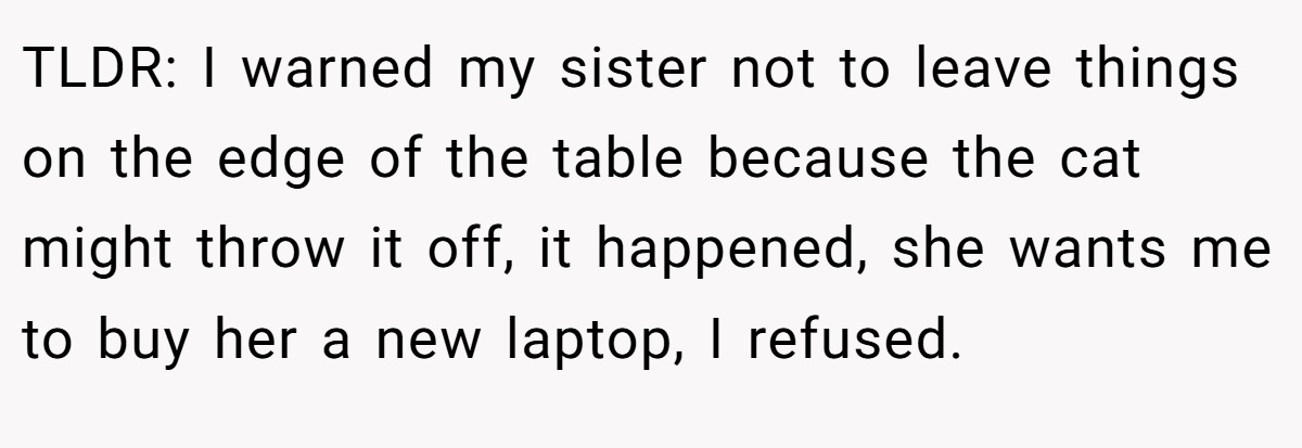 TLDR: I warned my sister not to leave things on the edge of the table because the cat might throw it off, it happened, she wants me to buy her a new laptop, I refused.