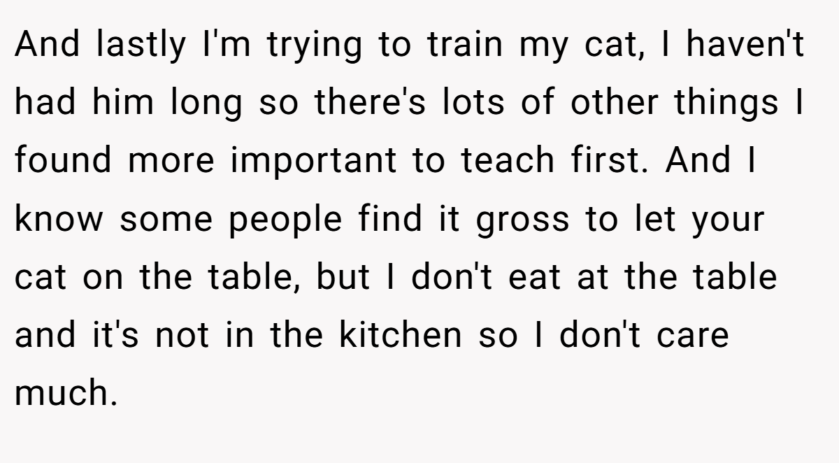And lastly I'm trying to train my cat, I haven't had him long so there's lots of other things I found more important to teach first. And I know some people find it gross to let your cat on the table, but I don't eat at the table and it's not in the kitchen so I don't care much.