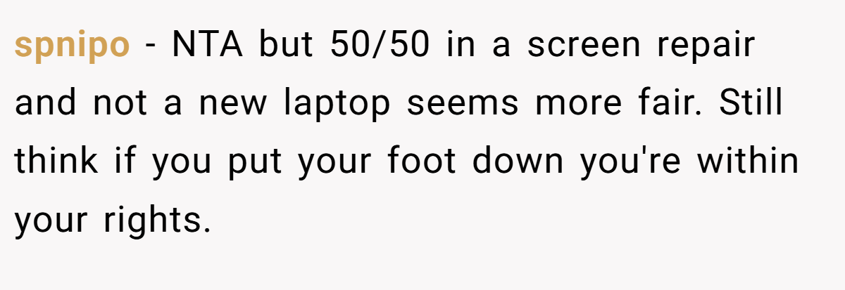 spnipo − NTA but 50/50 in a screen repair and not a new laptop seems more fair. Still think if you put your foot down you're within your rights.