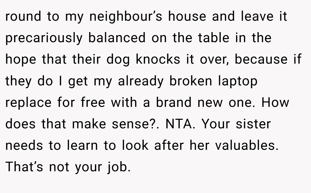 round to my neighbour’s house and leave it precariously balanced on the table in the hope that their dog knocks it over, because if they do I get my already broken laptop replace for free with a brand new one. How does that make sense?. NTA. Your sister needs to learn to look after her valuables. That’s not your job.