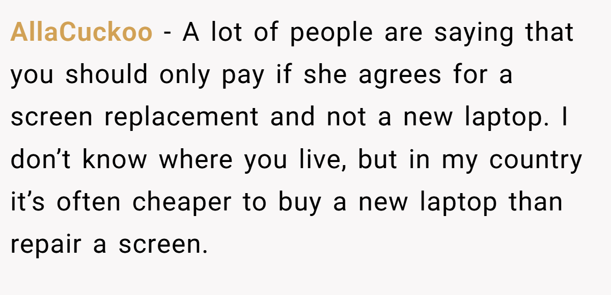 AllaCuckoo − A lot of people are saying that you should only pay if she agrees for a screen replacement and not a new laptop. I don’t know where you live, but in my country it’s often cheaper to buy a new laptop than repair a screen.