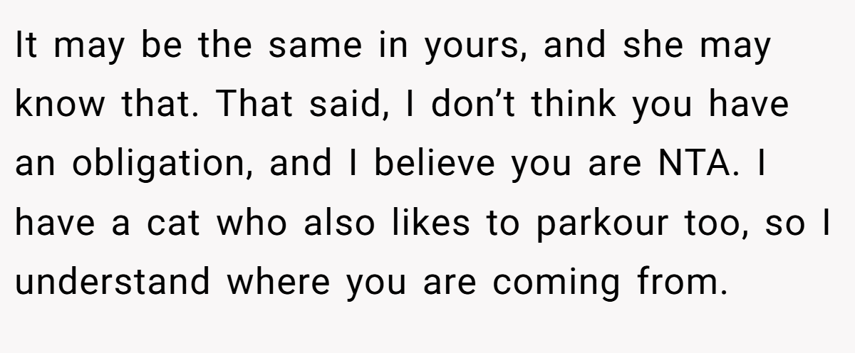 It may be the same in yours, and she may know that. That said, I don’t think you have an obligation, and I believe you are NTA. I have a cat who also likes to parkour too, so I understand where you are coming from.