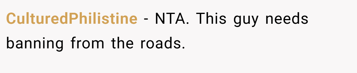 CulturedPhilistine − NTA. This guy needs banning from the roads.