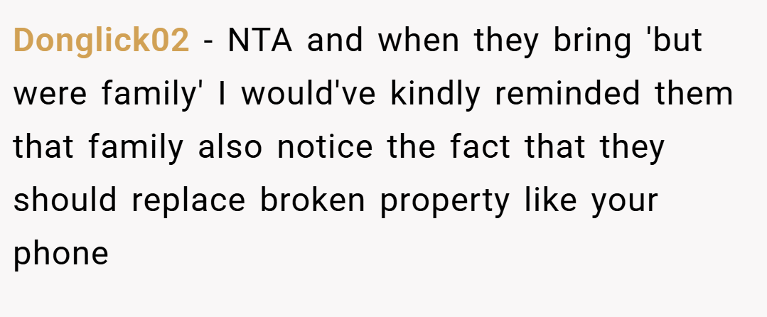 Donglick02 − NTA and when they bring 'but were family' I would've kindly reminded them that family also notice the fact that they should replace broken property like your phone