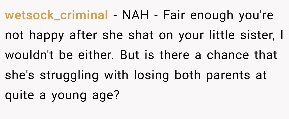 wetsock_criminal − NAH - Fair enough you're not happy after she shat on your little sister, I wouldn't be either. But is there a chance that she's struggling with losing both parents at quite a young age?