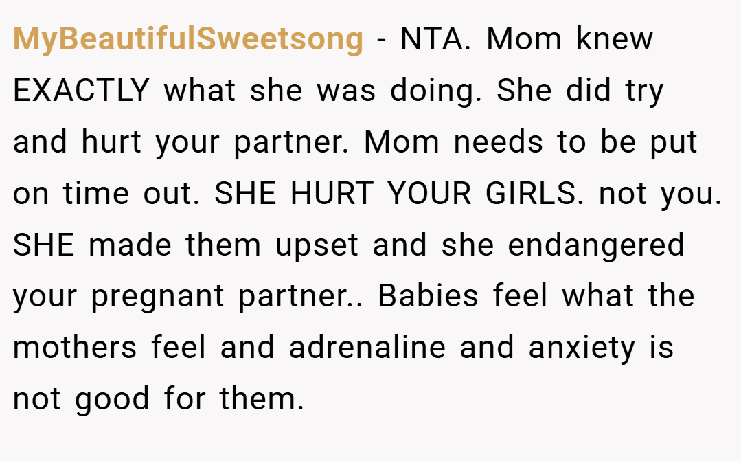 MyBeautifulSweetsong − NTA. Mom knew EXACTLY what she was doing. She did try and hurt your partner. Mom needs to be put on time out. SHE HURT YOUR GIRLS. not you. SHE made them upset and she endangered your pregnant partner.. Babies feel what the mothers feel and adrenaline and anxiety is not good for them.
