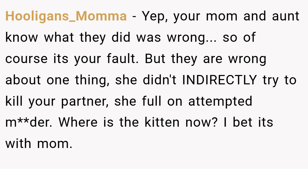 Hooligans_Momma − Yep, your mom and aunt know what they did was wrong... so of course its your fault. But they are wrong about one thing, she didn't INDIRECTLY try to kill your partner, she full on attempted m**der. Where is the kitten now? I bet its with mom.