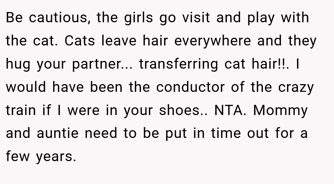Be cautious, the girls go visit and play with the cat. Cats leave hair everywhere and they hug your partner... transferring cat hair!!. I would have been the conductor of the crazy train if I were in your shoes.. NTA. Mommy and auntie need to be put in time out for a few years.