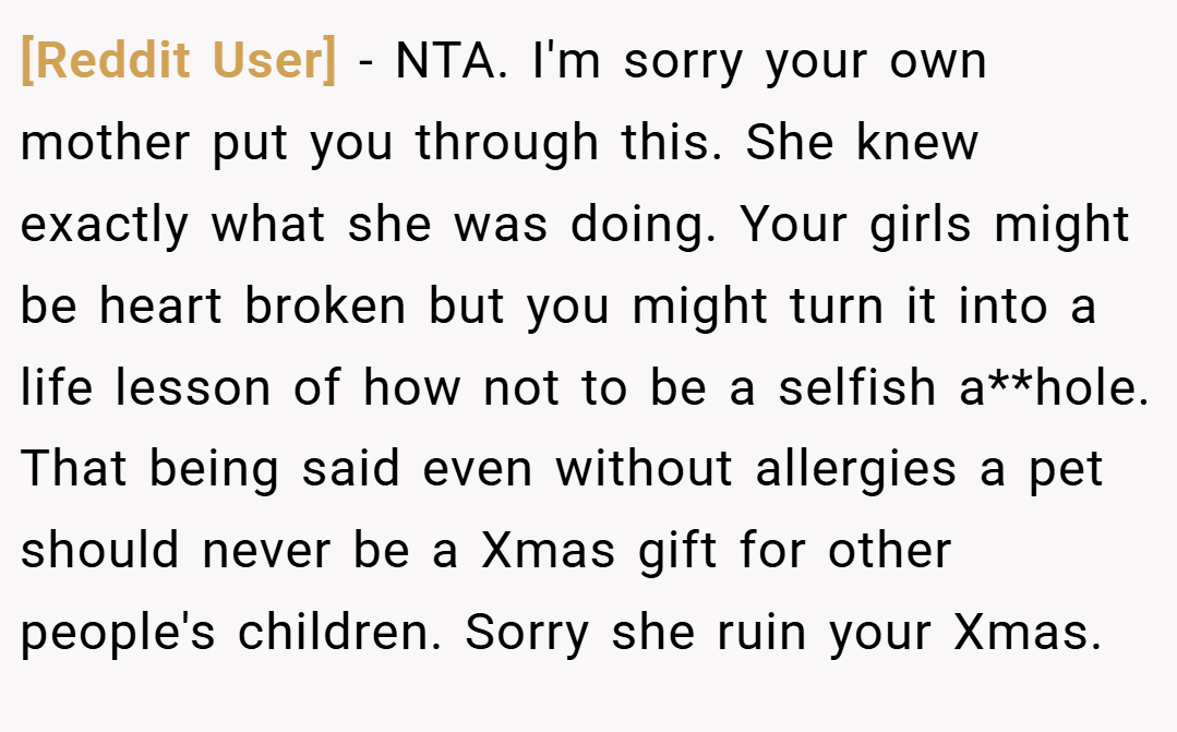 [Reddit User] − NTA. I'm sorry your own mother put you through this. She knew exactly what she was doing. Your girls might be heart broken but you might turn it into a life lesson of how not to be a selfish a**hole. That being said even without allergies a pet should never be a Xmas gift for other people's children. Sorry she ruin your Xmas.