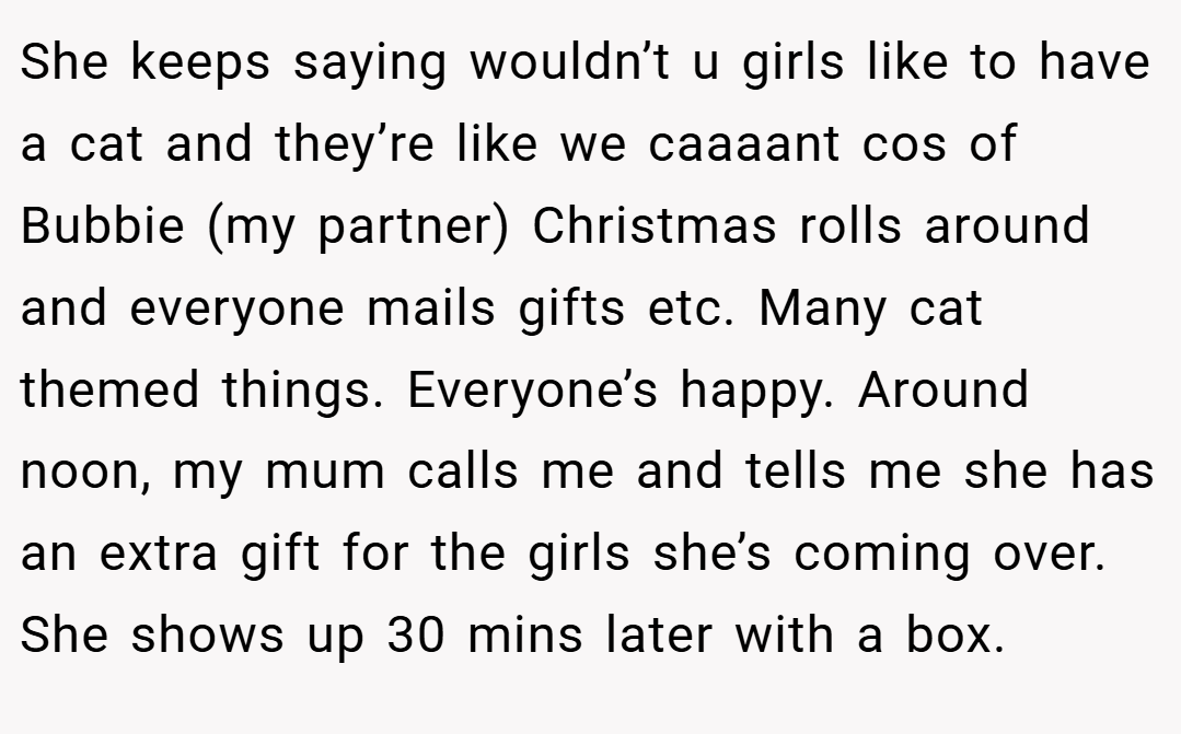 She keeps saying wouldn’t u girls like to have a cat and they’re like we caaaant cos of Bubbie (my partner) Christmas rolls around and everyone mails gifts etc. Many cat themed things. Everyone’s happy. Around noon, my mum calls me and tells me she has an extra gift for the girls she’s coming over. She shows up 30 mins later with a box.