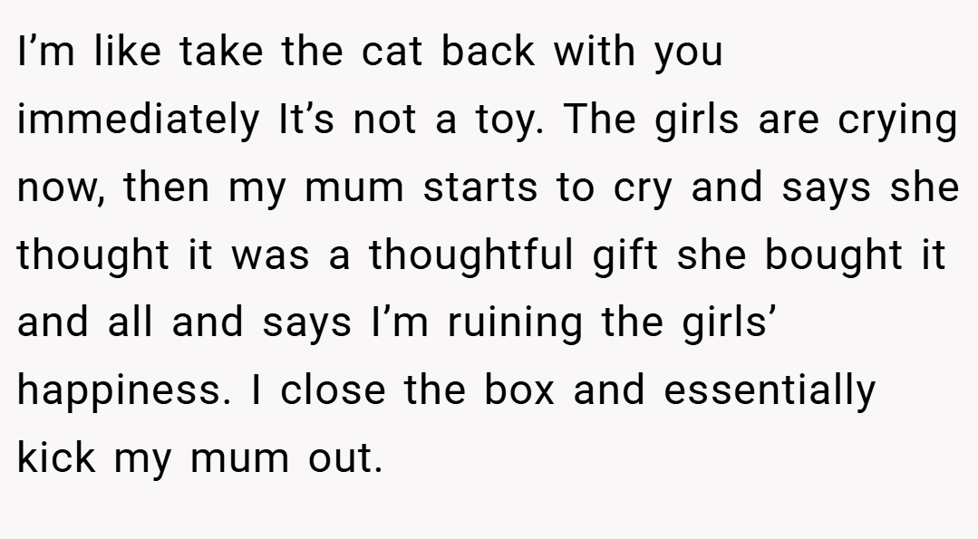 I’m like take the cat back with you immediately It’s not a toy. The girls are crying now, then my mum starts to cry and says she thought it was a thoughtful gift she bought it and all and says I’m ruining the girls’ happiness. I close the box and essentially kick my mum out.