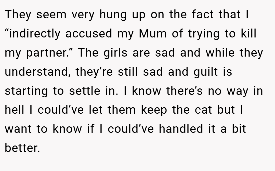 They seem very hung up on the fact that I “indirectly accused my Mum of trying to kill my partner.” The girls are sad and while they understand, they’re still sad and guilt is starting to settle in. I know there’s no way in hell I could’ve let them keep the cat but I want to know if I could’ve handled it a bit better.