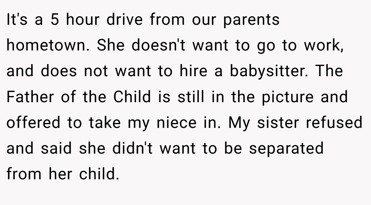 It's a 5 hour drive from our parents hometown. She doesn't want to go to work, and does not want to hire a babysitter. The Father of the Child is still in the picture and offered to take my niece in. My sister refused and said she didn't want to be separated from her child.