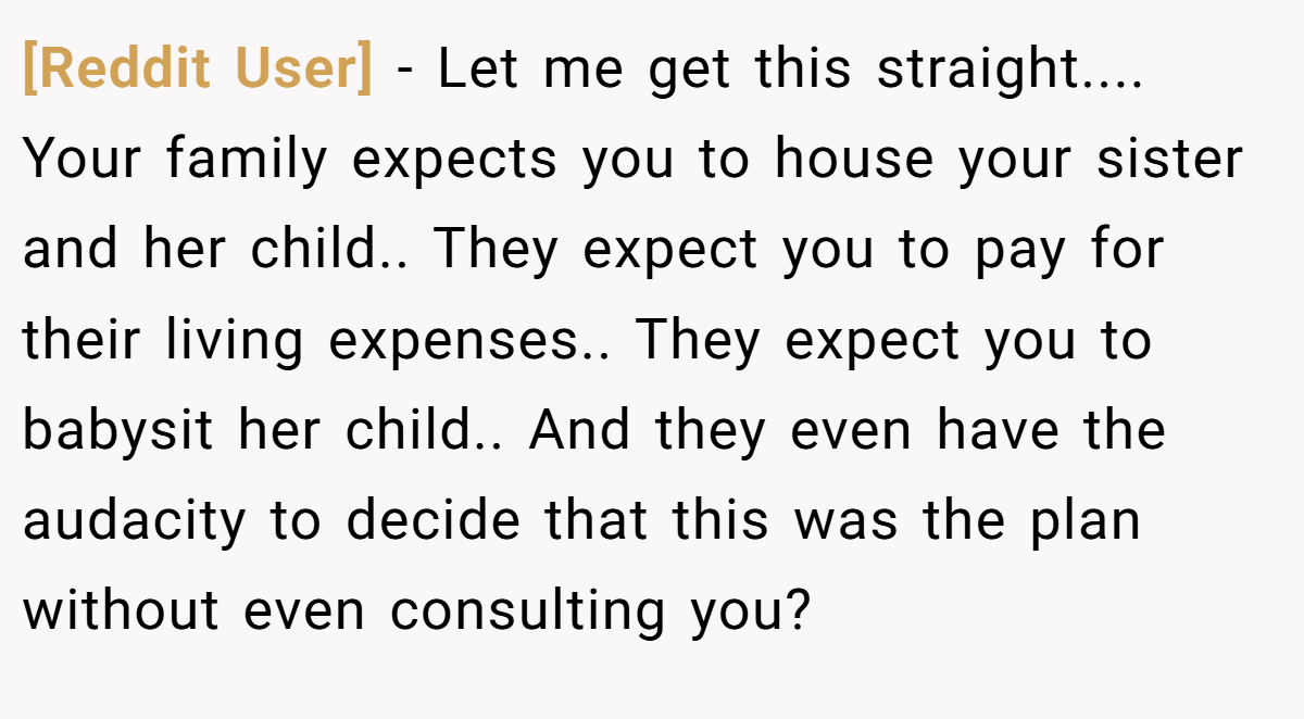 [Reddit User] - Let me get this straight.... Your family expects you to house your sister and her child.. They expect you to pay for their living expenses.. They expect you to babysit her child.. And they even have the audacity to decide that this was the plan without even consulting you?