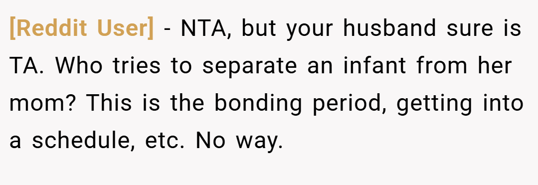 [Reddit User] − NTA, but your husband sure is TA. Who tries to separate an infant from her mom? This is the bonding period, getting into a schedule, etc. No way.