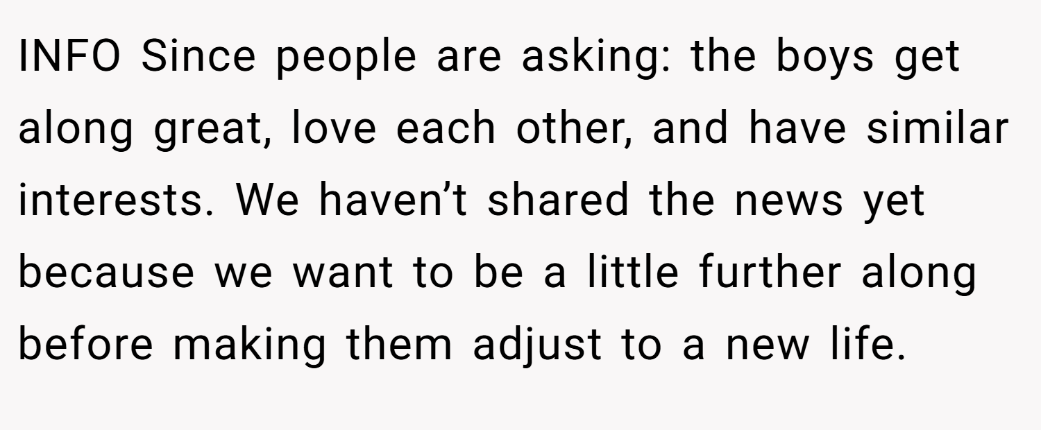 INFO Since people are asking: the boys get along great, love each other, and have similar interests. We haven’t shared the news yet because we want to be a little further along before making them adjust to a new life.