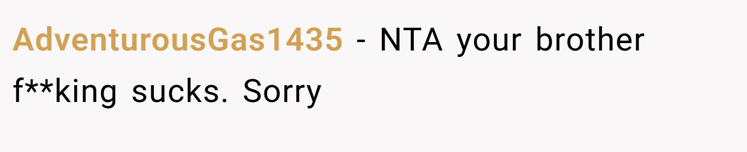 AdventurousGas1435 − NTA your brother f**king sucks. Sorry