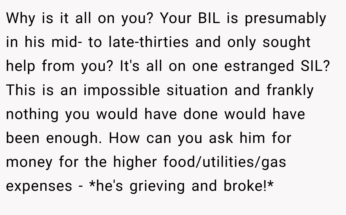 Why is it all on you? Your BIL is presumably in his mid- to late-thirties and only sought help from you? It's all on one estranged SIL? This is an impossible situation and frankly nothing you would have done would have been enough. How can you ask him for money for the higher food/utilities/gas expenses - *he's grieving and broke!*