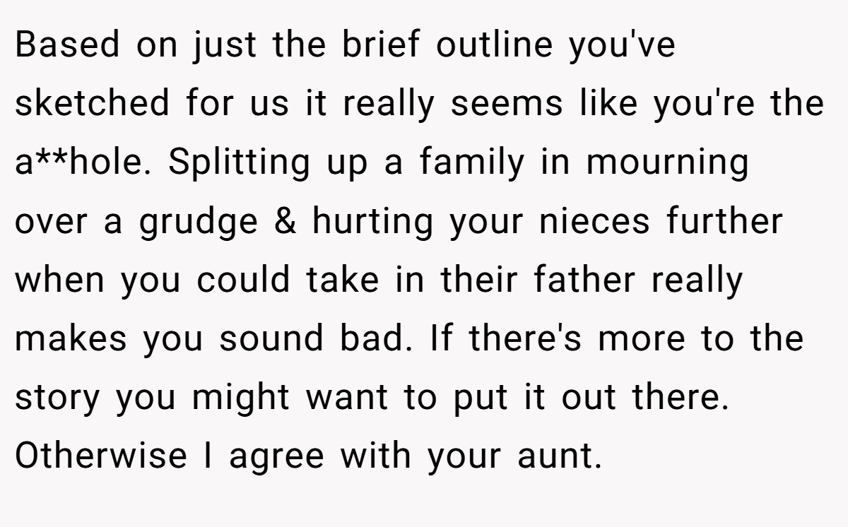 Based on just the brief outline you've sketched for us it really seems like you're the a**hole. Splitting up a family in mourning over a grudge & hurting your nieces further when you could take in their father really makes you sound bad. If there's more to the story you might want to put it out there. Otherwise I agree with your aunt.