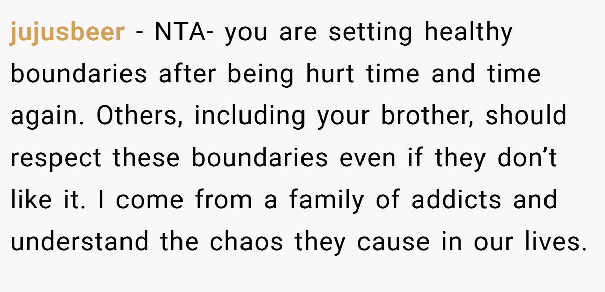 jujusbeer − NTA- you are setting healthy boundaries after being hurt time and time again. Others, including your brother, should respect these boundaries even if they don’t like it. I come from a family of addicts and understand the chaos they cause in our lives.